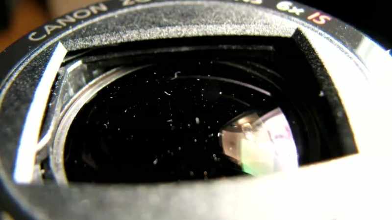 These images filmed on Earth