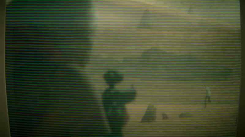 These replicants are hardwired to be fully submissive to humans