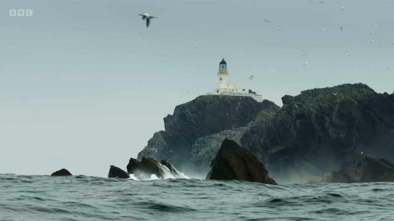 These rough waters are patrolled by our largest marine predator