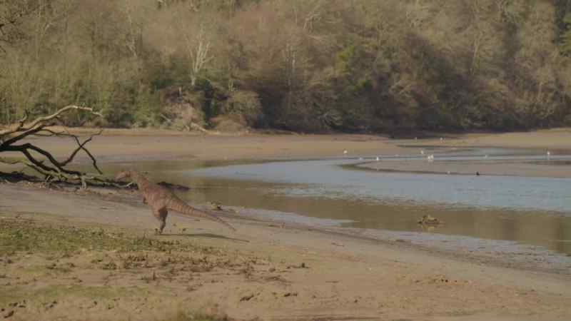 These sandbars may be a rich feeding ground