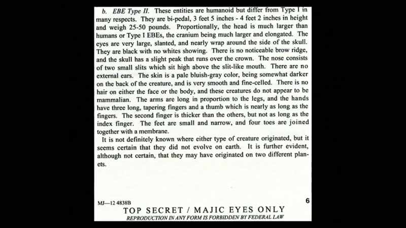 These smaller entities are humanoid but differ from Type 1