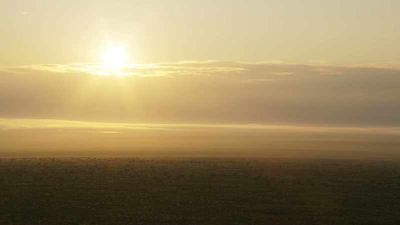 These summer pastures provide rich grazing