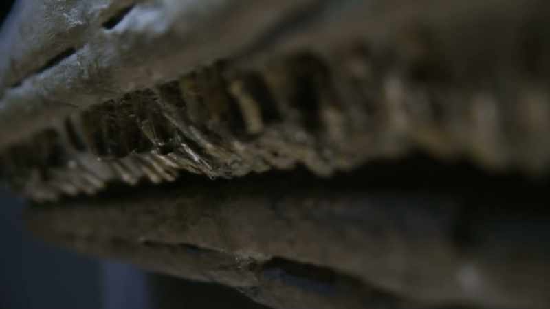 These teeth are shaped like blades