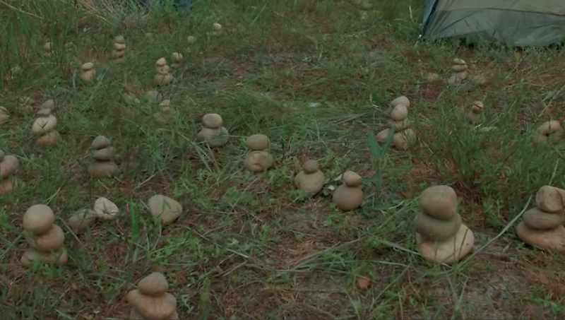 These things are everywhere