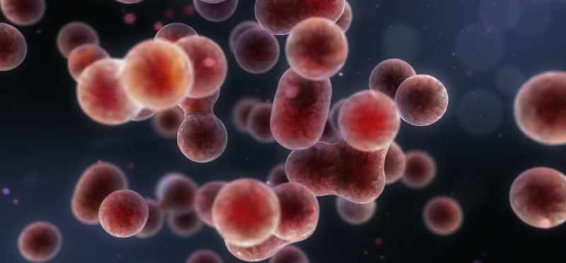These toxins come in various forms