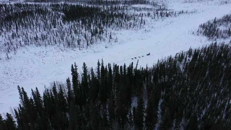 These vast swaths of untouched forest
