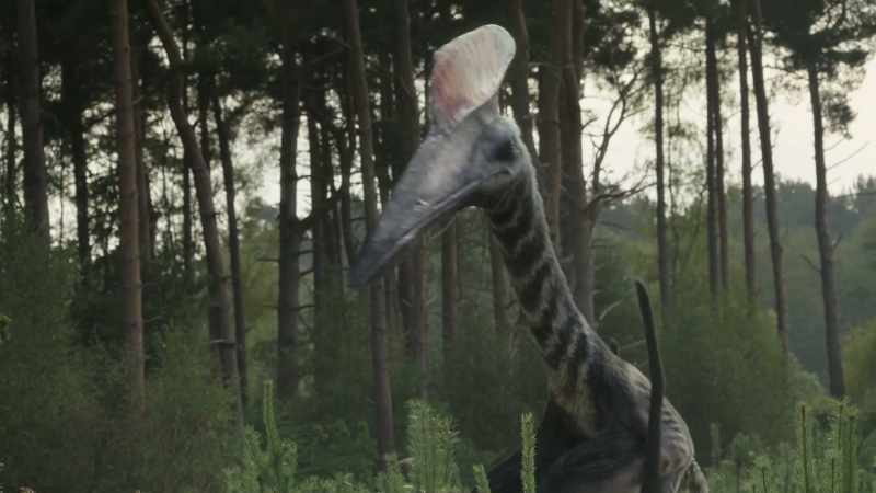 They almost certainly were predators