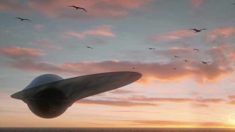They also brought high flying frigatebirds with them
