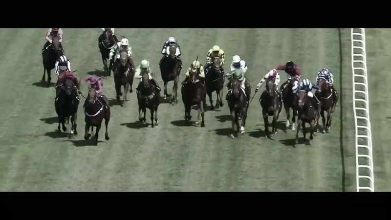 They always describe racing as the great leveller