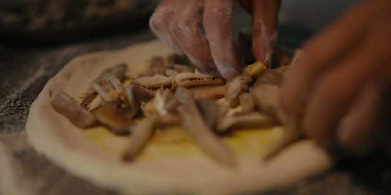 They are completely different from farmed mushrooms