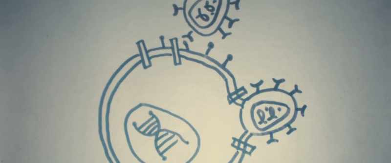They are nucleoside reverse transcriptase inhibitors