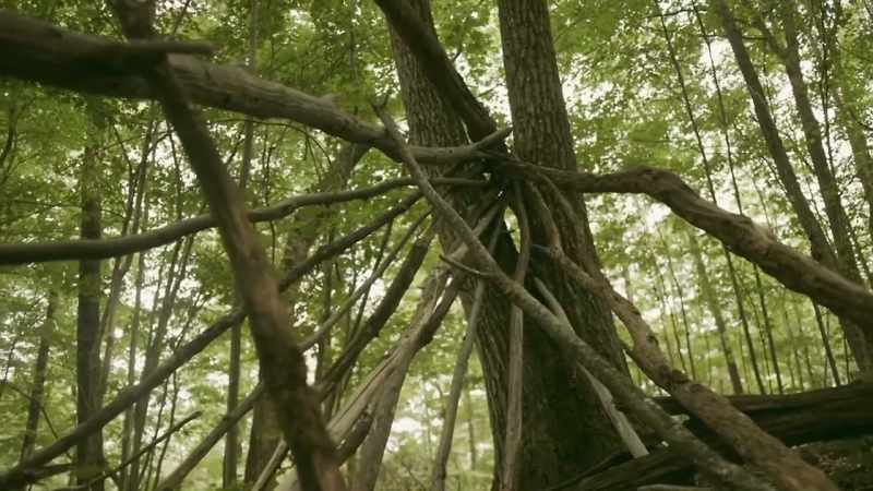 They are used to claim territory, mark important locations