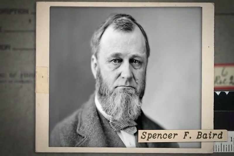 They asked Spencer Baird, the U.S. Fish Commissioner