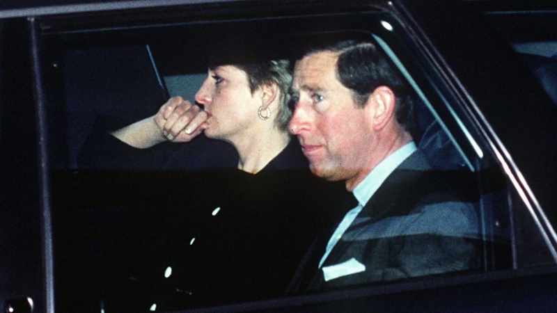 They were aware that Diana had suffered