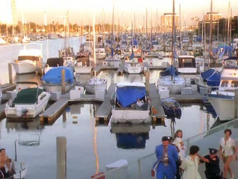 They blew up my yacht. Arrest them