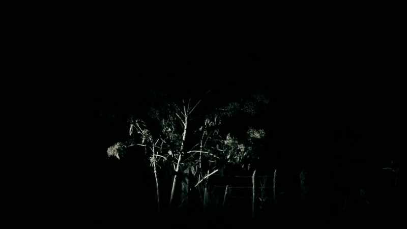 THEY BOTH FEEL A STRANGE PRESENCE IN THE WOODS