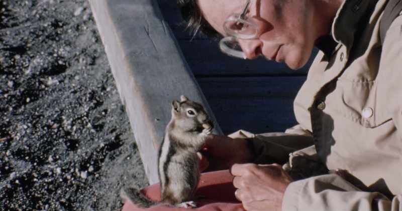 They were both instantly killed by a pyroclastic flow in Japan