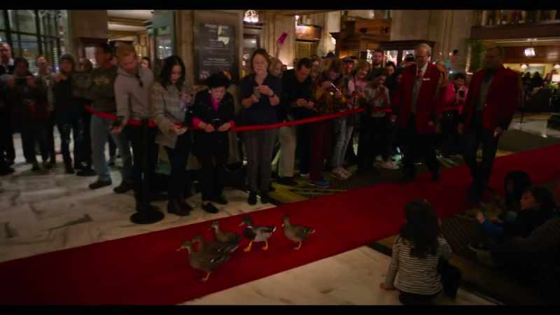 They brought the ducks used to attract other ducks