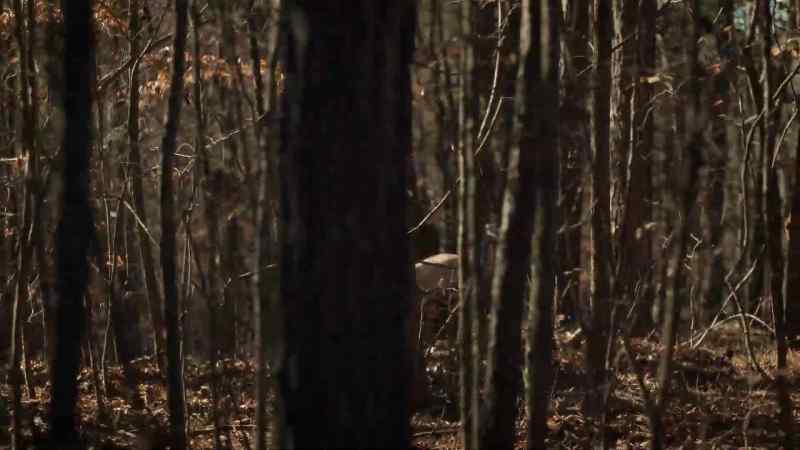 They call him The Howling Man