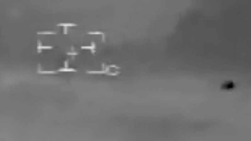 They can zigzag, creating G-forces several hundred times