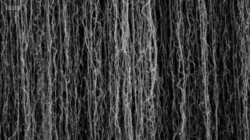 They were carbon nanotubes