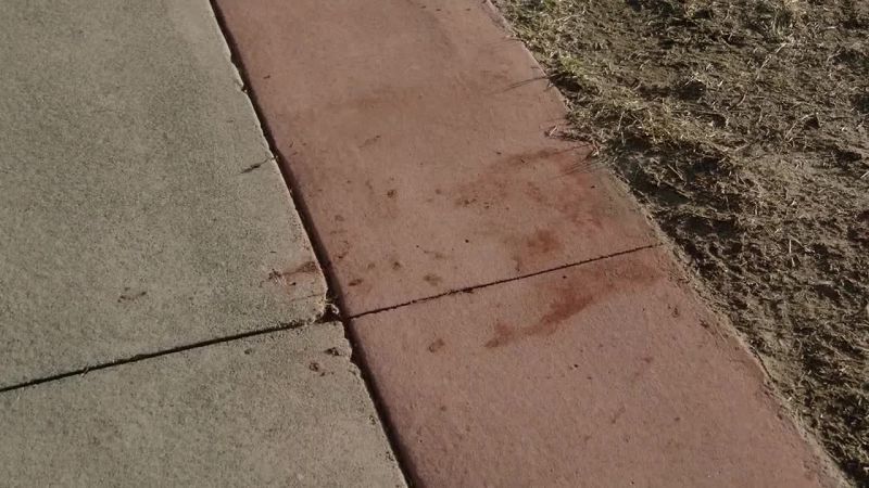 They cleaned it up