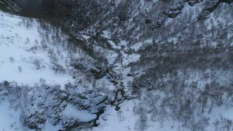 They continue to course through the veins of Scandinavia