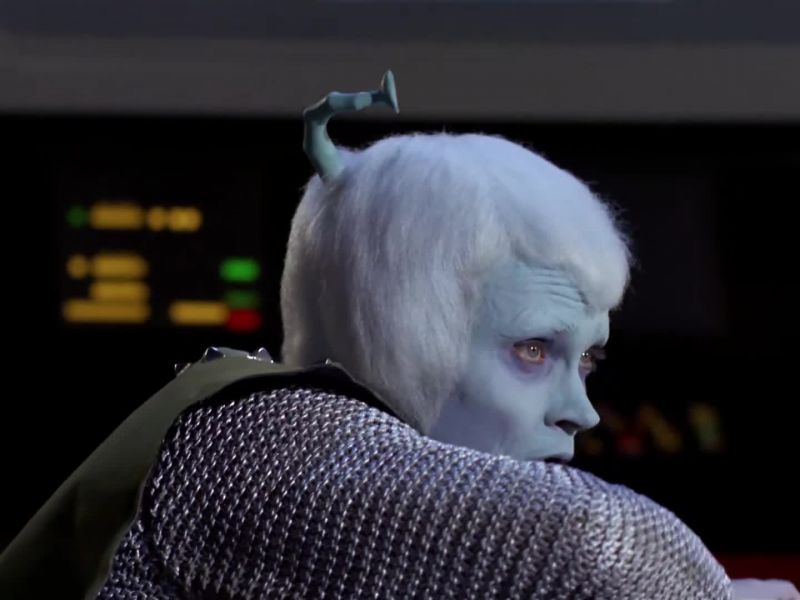 They could not surrender, captain
