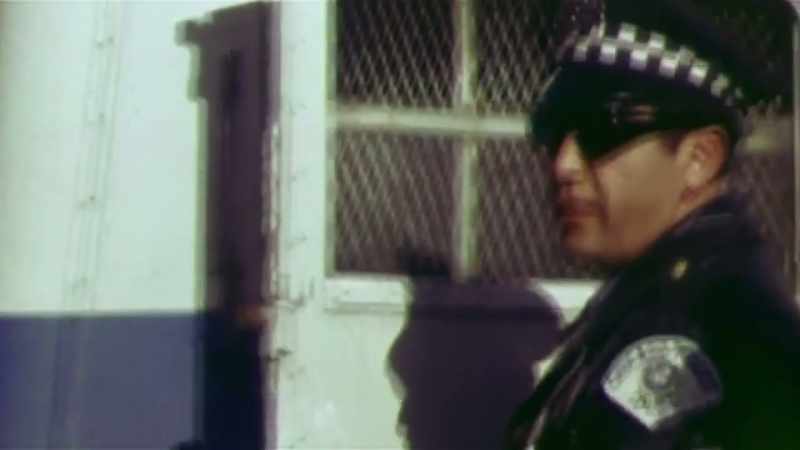 They cuffed me, put me in a police van