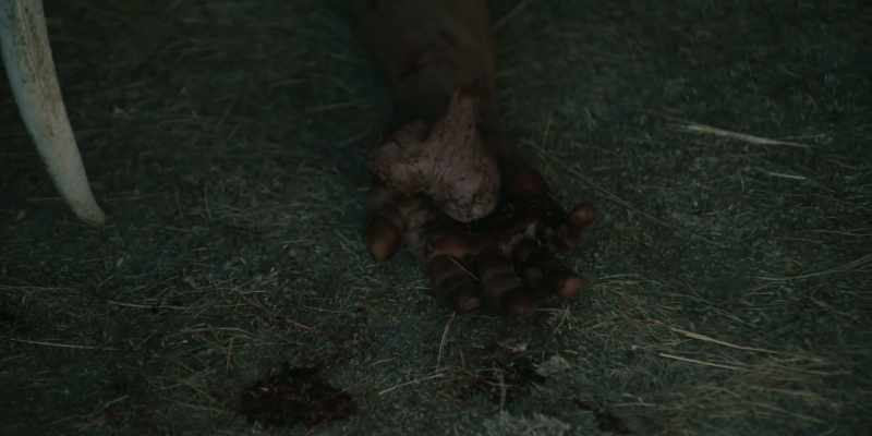 They cut the poor bastard's balls off