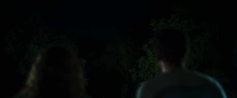 They cut the power, they activated the protocol