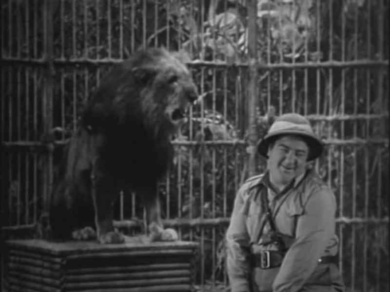 They didn't know you was inside the lion skin!