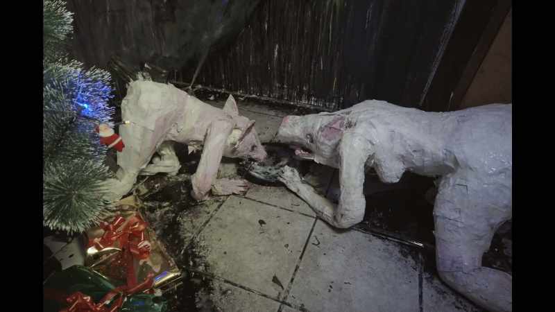 They didn't talk or look smarter than pigs