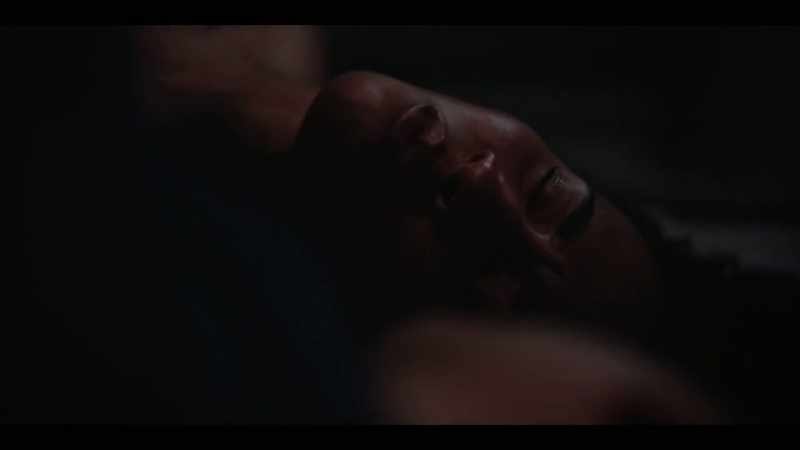 They didn't think anyone would get hurt