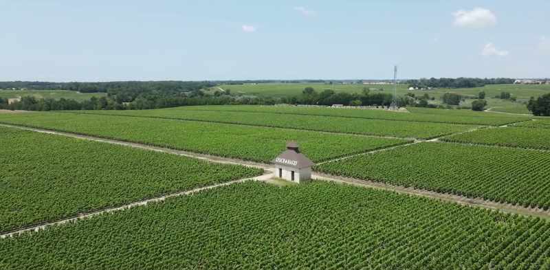 They established themselves in Bordeaux in 1691