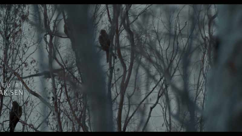 They fall from the sky in ever-increasing numbers