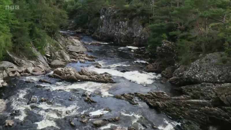 They feed and water a multitude of different habitats