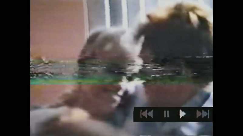 They filmed pretty much everything