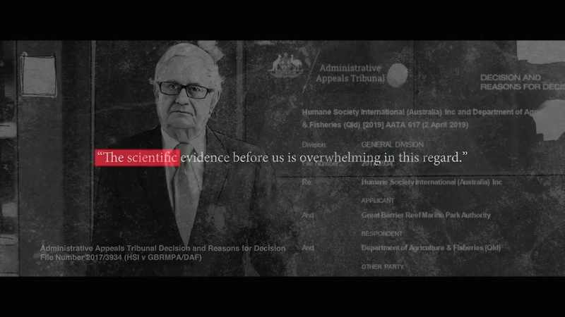 They found evidence to those points to be, quote, 