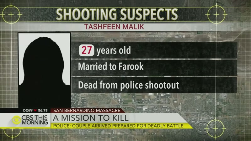 They found online statements that Malik had written a year