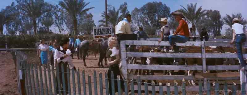 They got us over here with the livestock