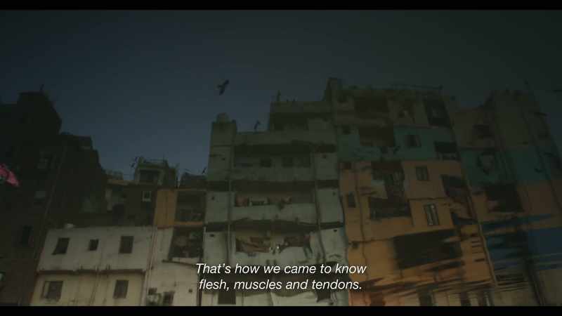 They have an insatiable hunger