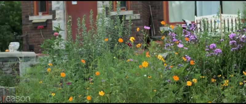 They have gardens, murals, bicycles. Even electricity