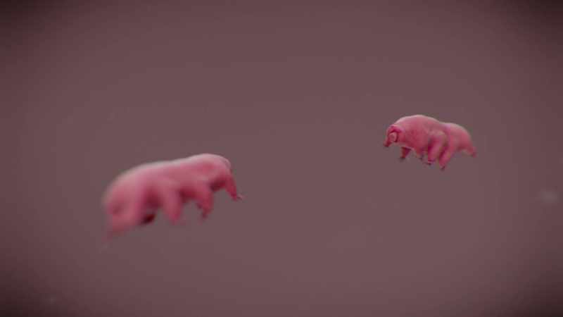 They have survived all five mass extinctions