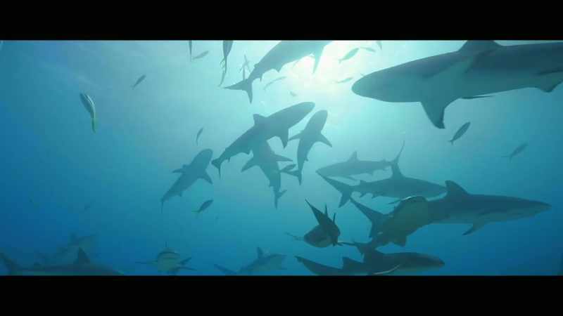 They have survived and adapted throughout ice ages