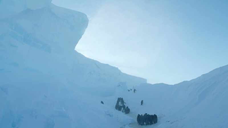 They have tumbled into a ravine in the ice