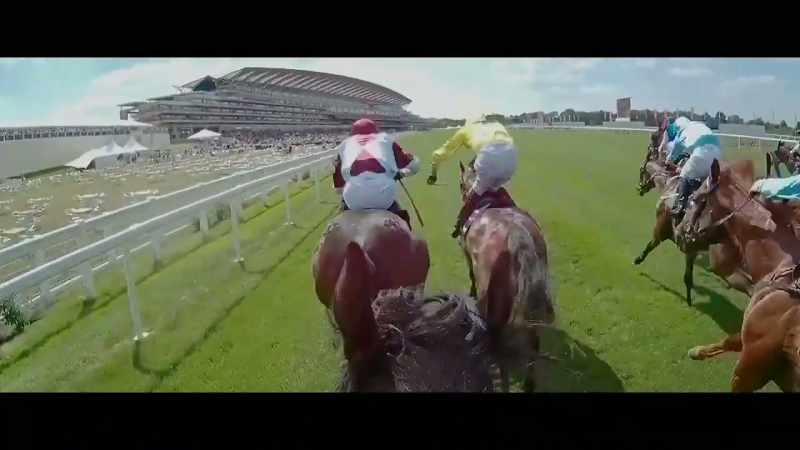 They head down towards the furlong pole. This is wide open!