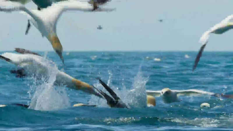 They hit the water at over 60mph