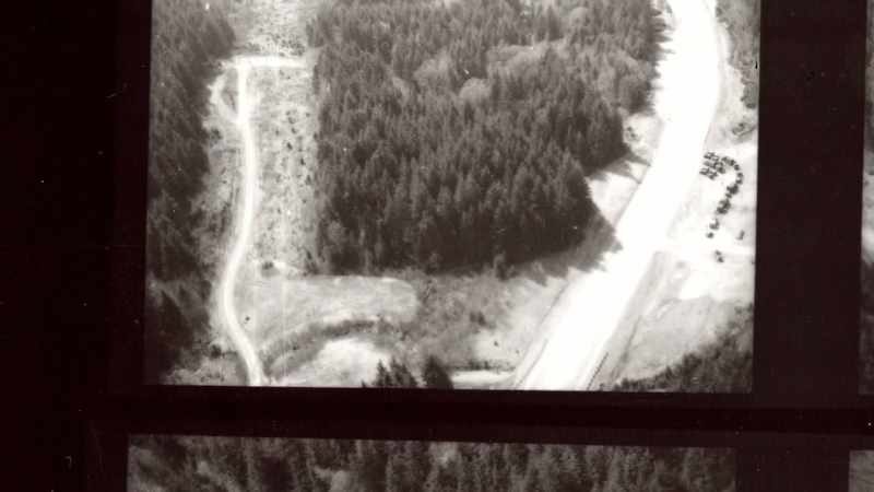 They were hunting grouse in the area