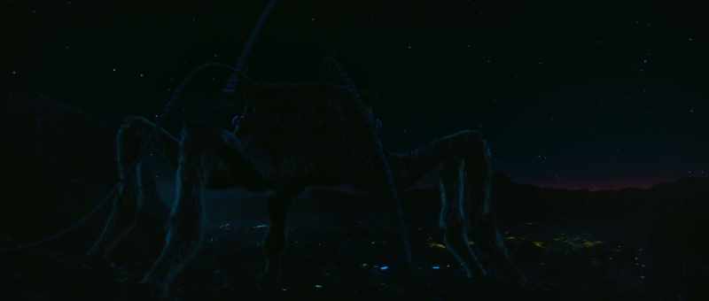 They jump and flash a warning signal to others